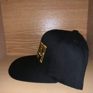 Vintage Michigan Tech University Hat