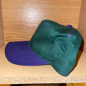 Vintage Milwaukee Bucks The G Cap Snapback Hat
