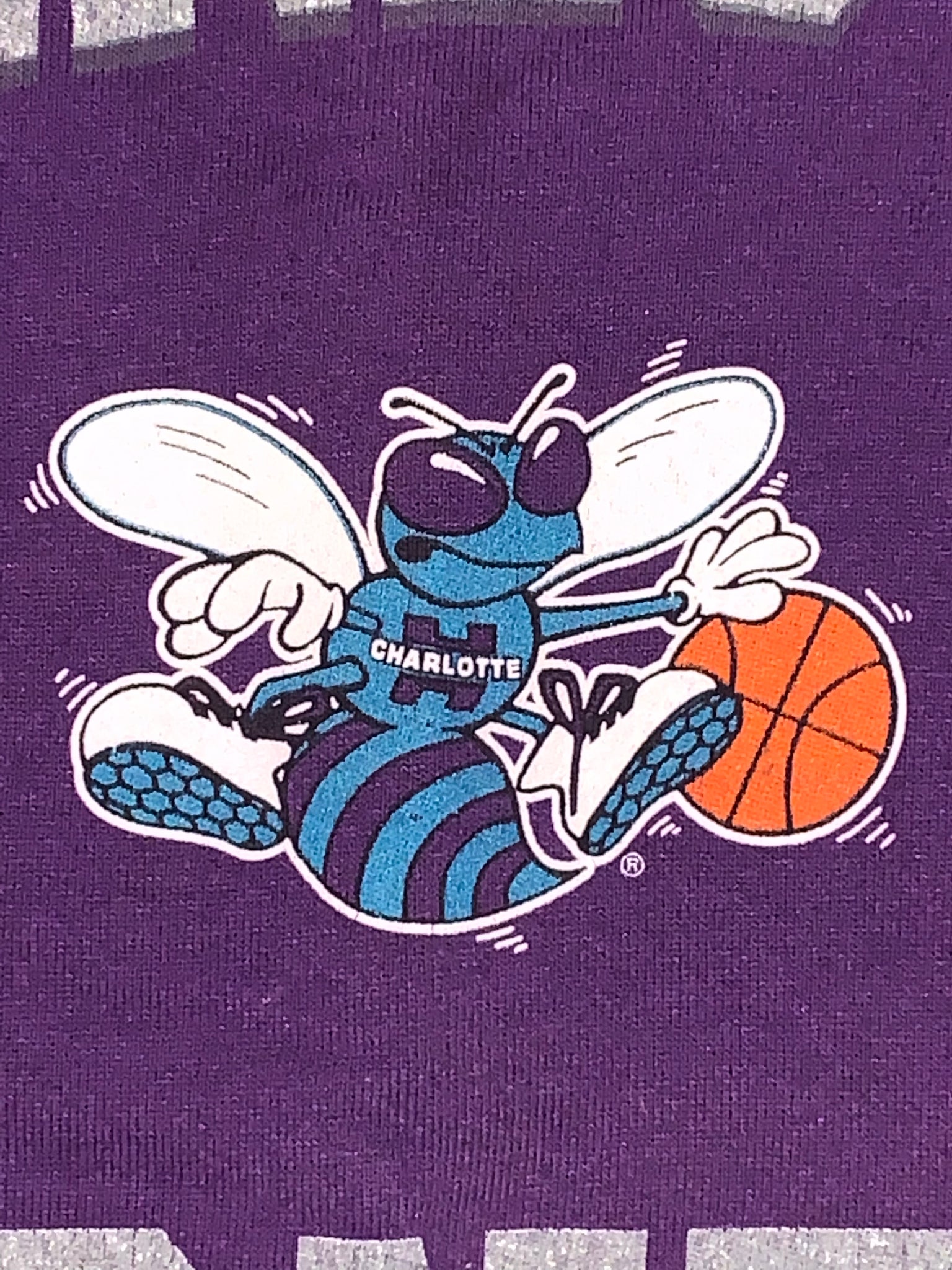 L - Vintage Charlotte Hornets Pro Player Sweater – Twisted Thrift